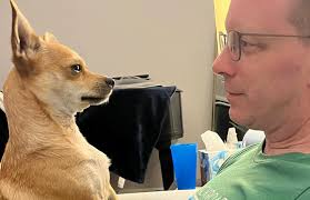 Renée Heath (@rhvocalstudio) • Instagram photos and videos