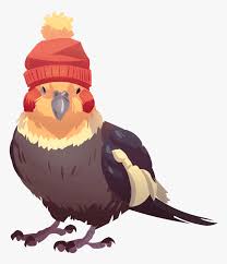 Maybe you would like to learn more about one of these? Tielhat By Shalmons Cute Chibi Cockatiel Drawing Hd Png Download Kindpng
