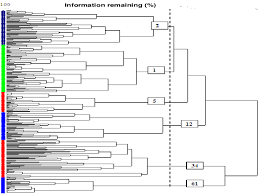 Image result for Brachystegia torrei