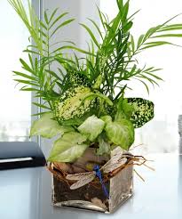 Maybe you would like to learn more about one of these? Allen S Flower Market Long Beach Long Beach Florist Same Day Flower Delivery