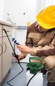 Parim spetsialiseeritud puhastusteenused kohas gulf shores, alabama. Pest Control Gulf Shores Al Advanced Pest Control Of Alabama