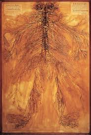 Hasil gambar untuk Operasi Saraf Kejepit