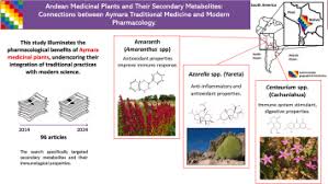 Image result for Oreophyton