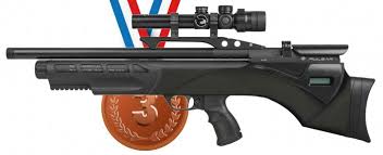 Are you hunting for the best air rifle in 2021? The Best Air Rifle On The Market Pellpax Blog