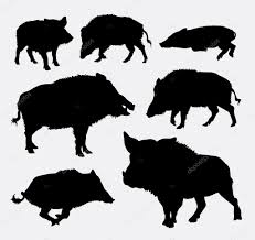 Wildschwein Silhouetten Stockillustration 82993298 Tiere Malen Illustration Zeichnungen