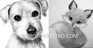 Ver más ideas sobre dibujos, pintura y dibujo, dibujos a lápiz. Dibujos De Flores A Lapiz Archives Web Del Maestro