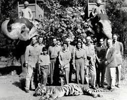 When the British Killed India's Tigers ...
