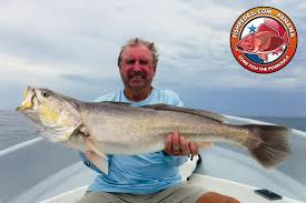 Image result for Peddiea fischeri