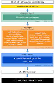 Search for dermatologists based on availability, location, insurance, reviews & more. Become A Dermatologist In The Uk A Comprehensive Guide For Imgs The Savvy Img