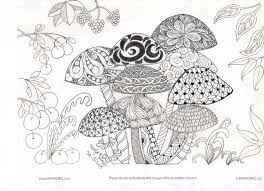 Image Result For Zentangle Fairy Garden Mushroom Fairy Garden Mushrooms Secret Garden Colouring Doodle Designs