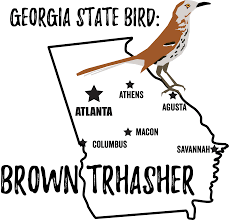 Their range encompasses all areas of the state and they have a relatively even distribution of sightings, but they appear to be sighted a little less in the southern half of the state. Birdy Blogger Author At Bird Watching Academy Page 2 Of 3