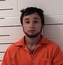 Guilty plea in murder of Vincent teenager by ex-boyfriend