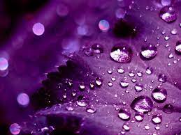 Tons of awesome purple 4k wallpapers to download for free. Purple Hd Wallpapers Pixelstalk Net
