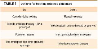 Image result for Retained Placenta