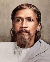 Yellow is golden rod, what are the purple and white?