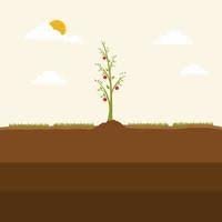 Check spelling or type a new query. The Apple Tree Grows Up On The Ground Growing Tree Seed With Green Leafs The Concept Of Planting Young Sprouts Rising From Good Fertilized Soil Modern Flat Cartoon Style Vector Illustration 2119788
