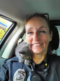 Kitten stuck in van engine adopted