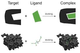 Docking Molecular Wikipedia