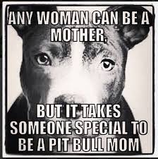Pin By Mary Equihua On Pitbull Mama Pitbulls Pitbull Mom Pitbull Lover