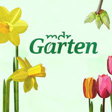 Bei diesen temperaturen freut sich der garten über besondere zuwendung: Mdr Garten Home Facebook