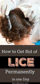 7 Best Home Remedies To Get Rid Of Lice Permanently In One Day Herbalism Natural Health Remedies Natural Remedies