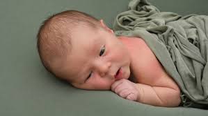 Rostocks süße Wonneproppen