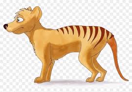 Check spelling or type a new query. Tiger Side Small Clipart Png Tasmanian Tiger Cartoon Drawing Transparent Png 1285x832 5496900 Pngfind