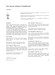 Image result for Anisotes formosissimus