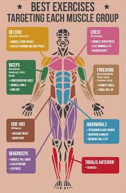 We did not find results for: Reporter ReparaÈ›ie Serios Best Exercises For Body Parts Corruptionwatchconnected Org