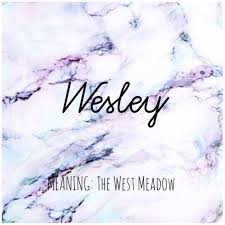 Wesley Names Wesley Babynames Names With Meaning Baby Names And Meanings Baby Names