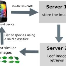 This app focuses on flowers alone, and it works really well, actually. Pdf An Android Application For Leaf Based Plant Identification