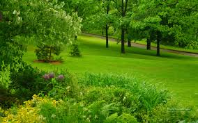 Pour savoir à quelle fréquence tondre votre pelouse, il faut porter une attention particulière à plusieurs facteurs. Comment Bien Tondre La Pelouse Chieze Espaces Verts