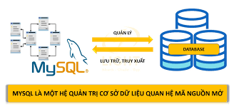 MySQL là gì? Toàn bộ kiến thức về MySQL