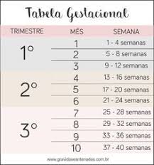 Calculadora Gestacional De Semanas Para Meses Tabela Gestacional Tabela De Gravidez Meses De Gravidez Tempo De Gestacao