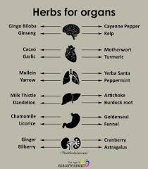 Fantastic Benefits Of Tips Are Readily Available On Our Web Pages Check It Out And You Will Not Be Sorry You Herbal Medicine Herbs For Health Health Remedies