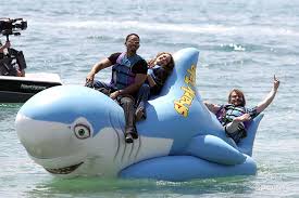 .angelina jolie will certainly appeal the court's choice on kid protection (photo: Will Smith Angelina Jolie And Jack Black Promote The Film Shark Tale At The Cannes Film Festival May 2004