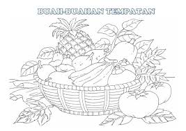 Buah stoberi yang paling sering. Gambar Mewarna Buah Buahan Tempatan Brad Erva Doce Info Download Home Decor Decals Home Decor Decor