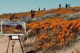 We did not find results for: Reference Photos For Painting Landscapes