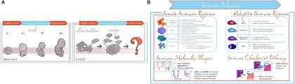 Early on, cervical cancer may not cause signs and symptoms. Frontiers Endometrial Cancer Immune Escape Mechanisms Let Us Learn From The Fetal Maternal Interface Oncology