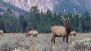 Tucker smith's work has been offered at auction multiple times, with realized prices ranging from $30 usd to $109,250 usd, depending on the. Tucker Smith Process Drive Youtube