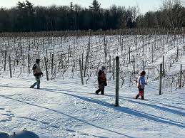 Paul Vidas and Tim Clark of...