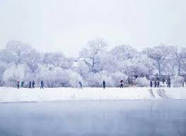 吉林市jilin china 龙潭区雾凇岛的雾凇景观 雾凇的形成原因是空气中的水雾在低温下凝结于树枝上 结霜并不断积聚 最终成为附着在树枝上的白色冰晶 摄影师 dapeng zhu favorite places outdoor winter