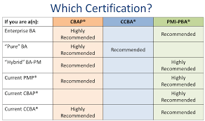 Pmi Pba And Cbap Ccba Side By Side Business Analysis Training Projectbrief Blog Business Analysis Analysis Side Business