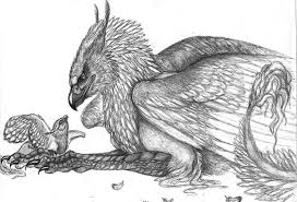 Pin On Gryphon