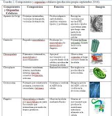 Biomoleculas Y La Celula Biologia Avanzada Ensenanza Biologia Clase De Biologia