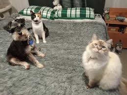 new photo of Tiffany Izzy and my Beautiful boy Autumn tonight