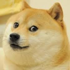dog" Meme Templates - Imgflip