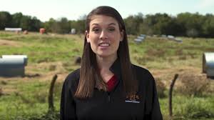 Alternative Pork Production: How diseases can be transferred to the farm