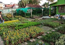 Plants and flowers nursery near me. 10 Best Plant Nurseries In Kolkata India Gardening