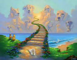 Rainbow Bridge Poem To Help When Healing From Pet Loss Loyal Paws